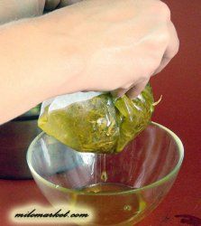 Как приготовить инфузное масло, мацерат и масляный экстакт