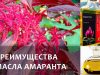 Амарантовое масло в косметологии — применение для лица и волос