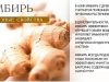 Имбирь: свойства и применение