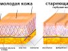Марголина: что делать со стареющей кожей