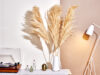 Сухоцветы и пампасная трава в интерьере: особенности применения