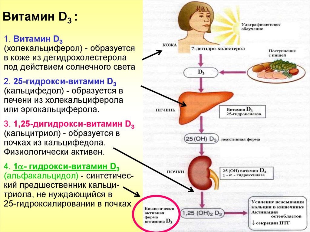 Схема лечения витамин д