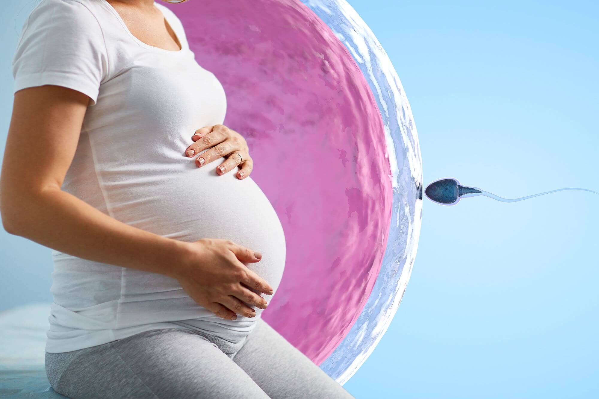 Новая беременность после. Эко экстракорпоральное оплодотворение. Эко беременность. Экстракорпоральное оплодотворение IVF.