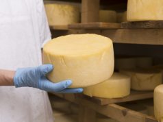 Изготовление сыров: оборудование и закваски